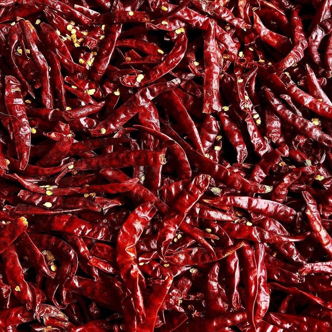 Guntur Dried Red Chilli