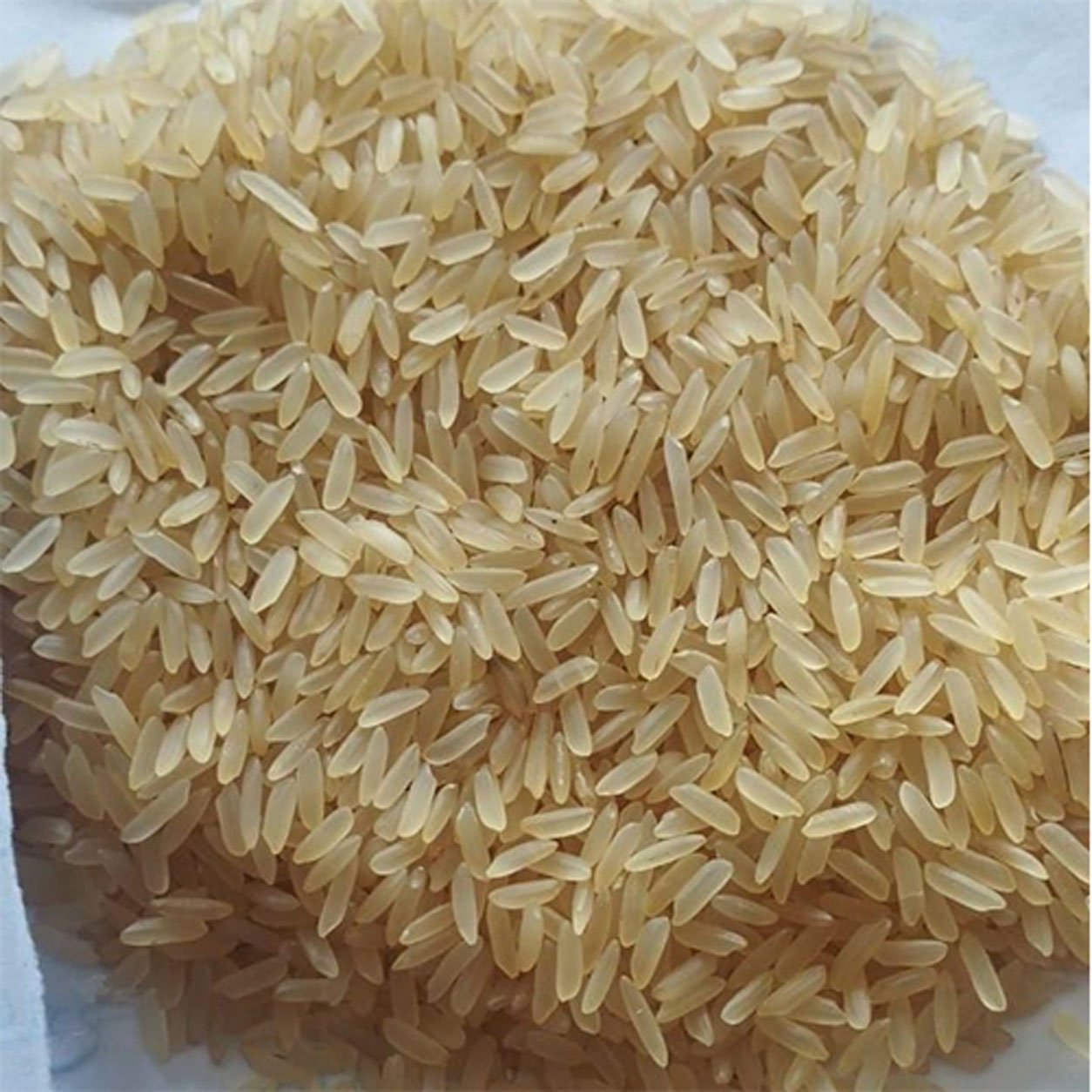 IR 64 Parboiled Rice